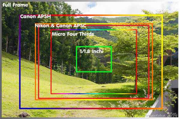 Kamera Full Frame VS APSC : Yang Mana Impian Fotografer ? Kamera Full Frame VS APSC : Yang Mana Impian Fotografer ?